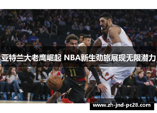 亚特兰大老鹰崛起 NBA新生劲旅展现无限潜力