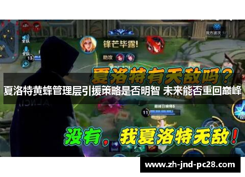 夏洛特黄蜂管理层引援策略是否明智 未来能否重回巅峰