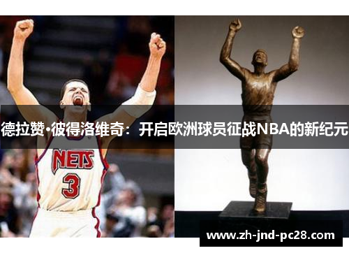 德拉赞·彼得洛维奇：开启欧洲球员征战NBA的新纪元
